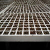 Bandejas plantas Ecodena